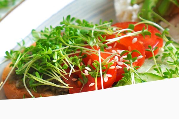 Frischkäse, Tomaten, Gurken und frischer Kresse – Beispiel für frische Produkte aus dem Sortiment