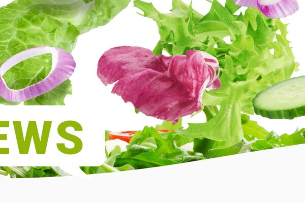 Fliegende Salatblätter, Gurkenscheiben und rote Zwiebeln – Bildsymbol für Frische auf der News-Seite der Henning Broscheit GmbH